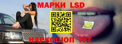 шишки Заволжье