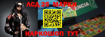 шишки Заволжье