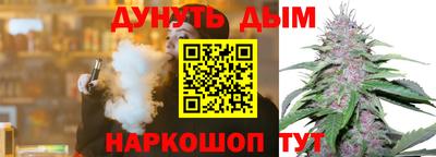 шишки Заволжье