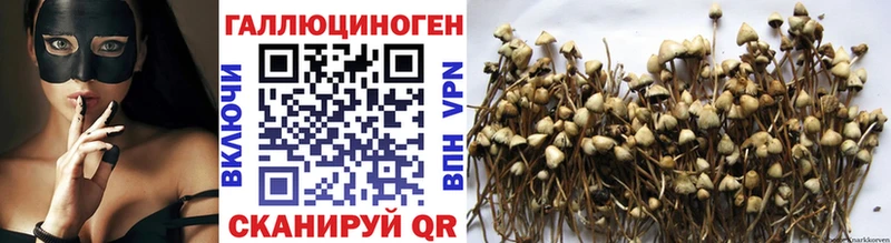 Галлюциногенные грибы прущие грибы  mega ONION  Буйнакск  продажа наркотиков 