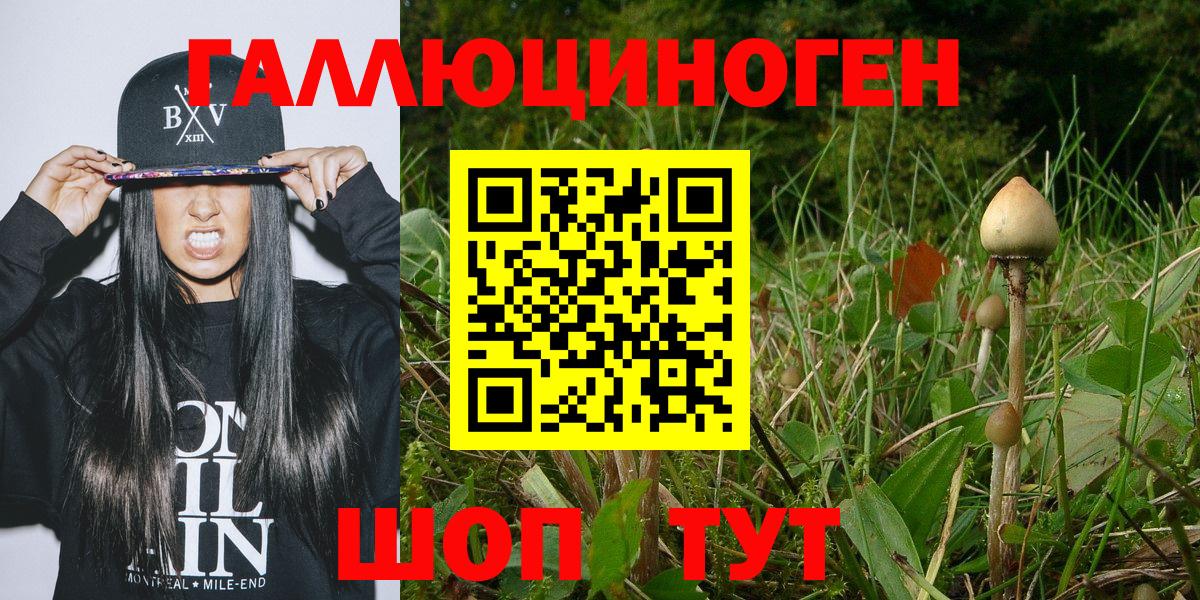 Галлюциногенные грибы ЛСД Буйнакск