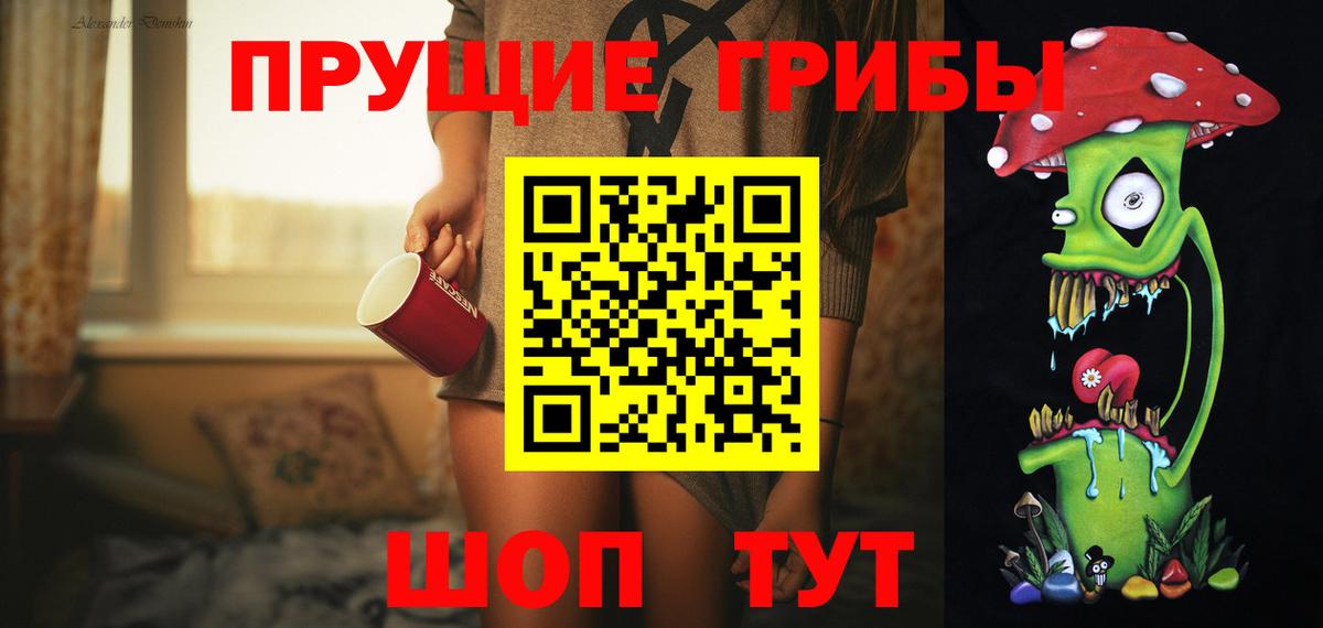 Псилоцибиновые грибы Psilocybine cubensis  Буйнакск 